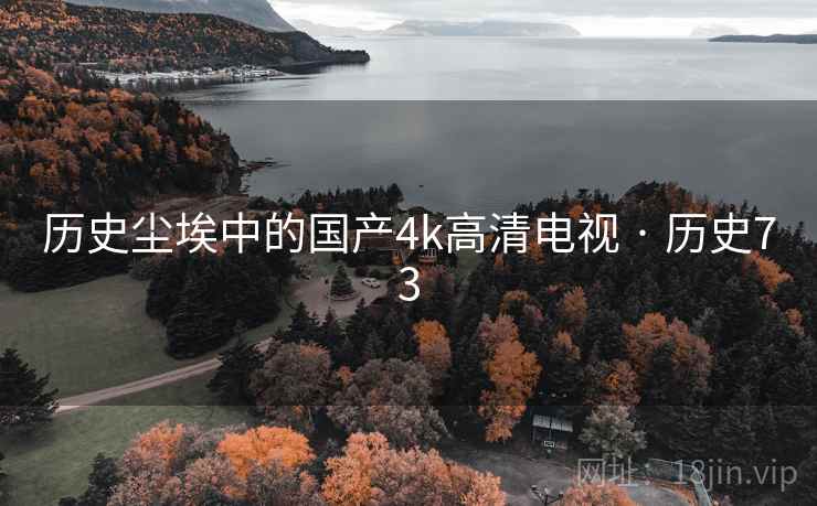 历史尘埃中的国产4k高清电视 · 历史73 第2张 历史尘埃中的国产4k高清电视 · 历史73 第2张