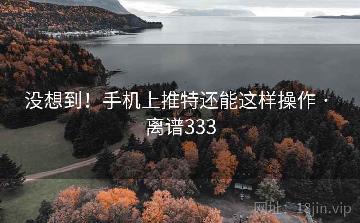 没想到！手机上推特还能这样操作 · 离谱333