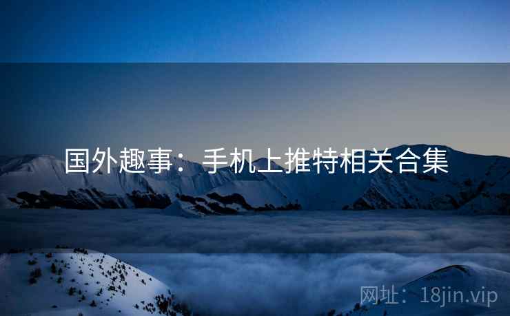 国外趣事：手机上推特相关合集  第2张