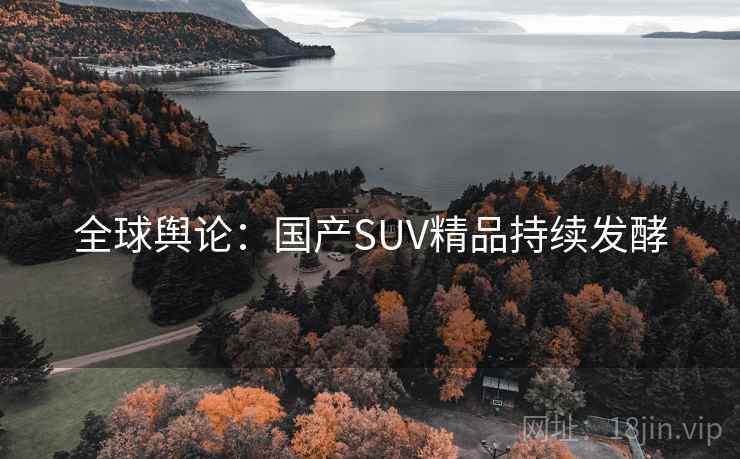 全球舆论:国产SUV精品持续发酵 第2张 全球舆论:国产SUV精品持续发酵 第2张
